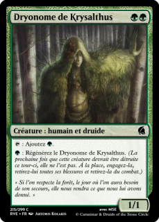 View Photo Dryonome de Krysalthus