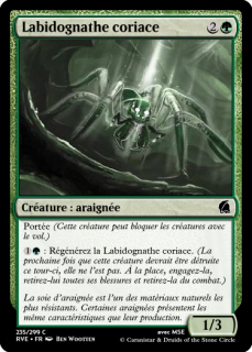View Photo Labidognathe coriace